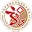 上海中医药大学附属龙华医院