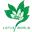 三水荷花世界
