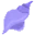 Conch